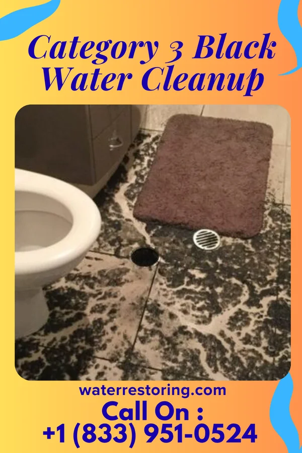 Category 3 Black Water Cleanup in Midway, UT