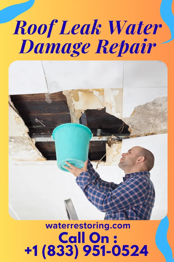 Roof Leak Water Damage Repair in Midway, UT